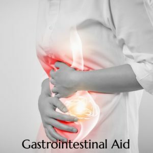 British Ayurveda Gastrointestinal Aid