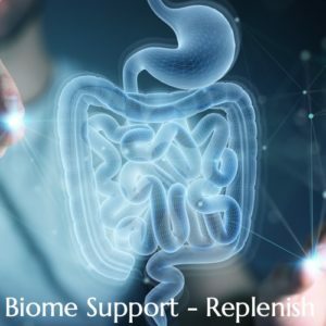 British Ayurveda Replenish the Biome