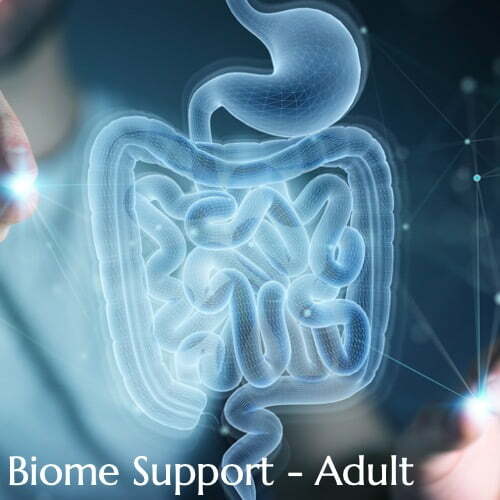 British Ayurveda Adult Biome Support