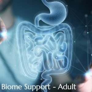 British Ayurveda Adult Biome Support