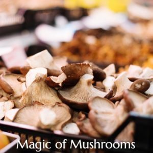 British Ayurveda Magic of Mushrooms