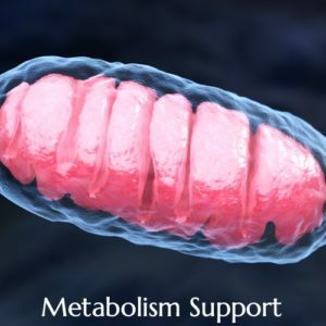 Metabolism Support by British Ayurveda